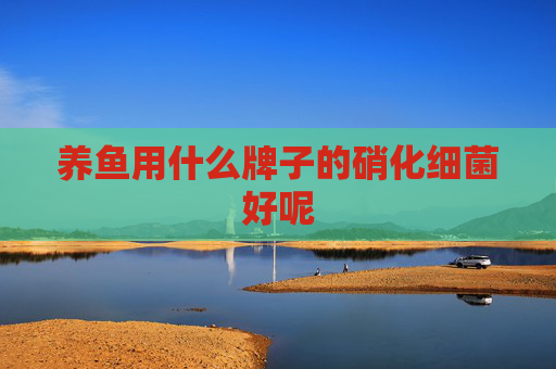养鱼用什么牌子的硝化细菌好呢