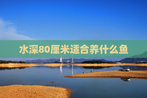 水深80厘米适合养什么鱼