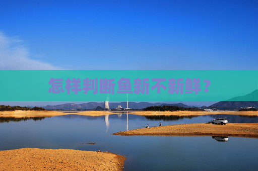 怎样判断鱼新不新鲜？