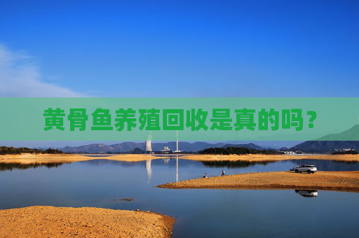 黄骨鱼养殖回收是真的吗？