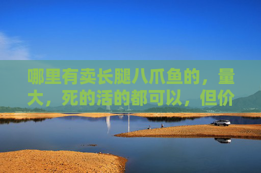 哪里有卖长腿八爪鱼的，量大，死的活的都可以，但价格不一样？