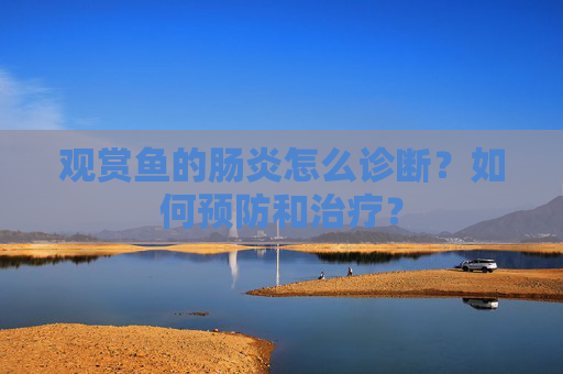 观赏鱼的肠炎怎么诊断?如何预防和治疗? 观赏鱼的肠炎怎么诊断?如何预防和治疗?