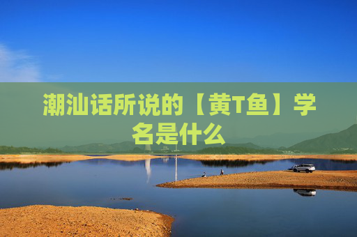 潮汕话所说的【黄T鱼】学名是什么