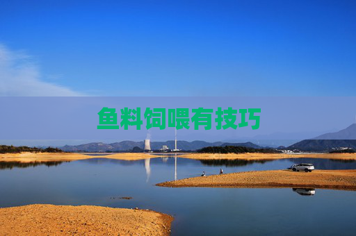 鱼料饲喂有技巧