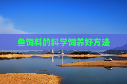 鱼饲料的科学饲养好方法