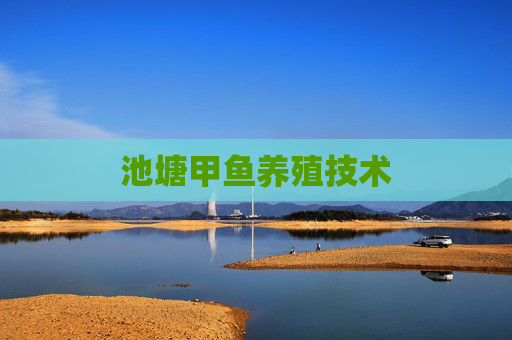 池塘甲鱼养殖技术