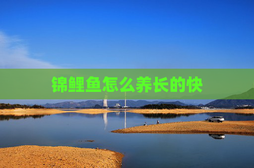 锦鲤鱼怎么养长的快 锦鲤鱼怎么养长的快