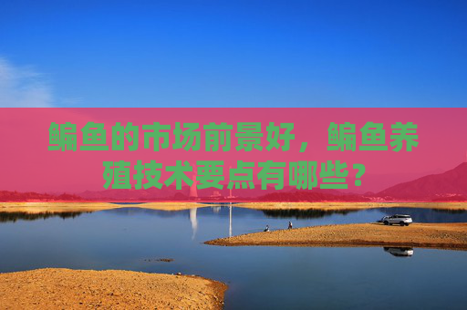 鳊鱼的市场前景好，鳊鱼养殖技术要点有哪些？