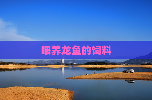 喂养龙鱼的饲料