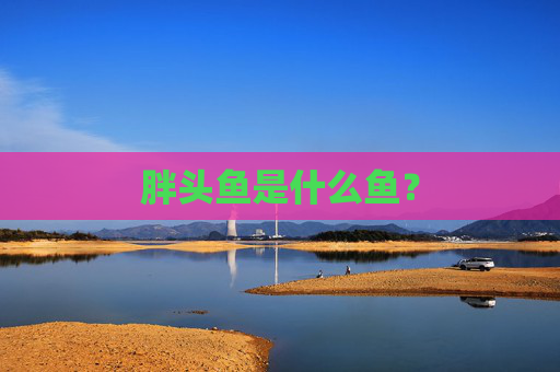 胖头鱼是什么鱼？