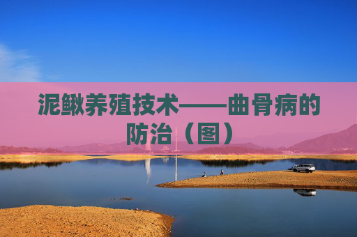 泥鳅养殖技术——曲骨病的防治（图）