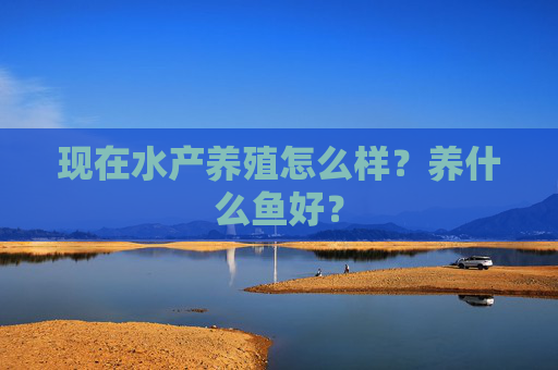 现在水产养殖怎么样？养什么鱼好？