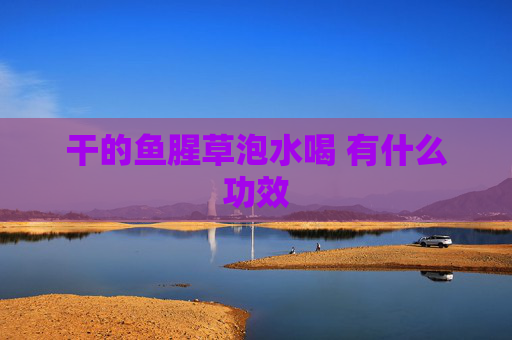 干的鱼腥草泡水喝 有什么功效