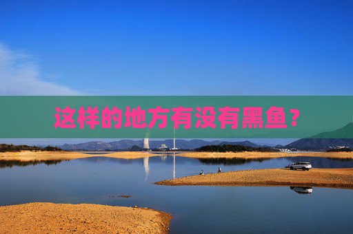 这样的地方有没有黑鱼？