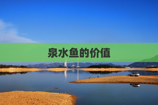 泉水鱼的价值