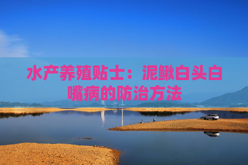 水产养殖贴士：泥鳅白头白嘴病的防治方法