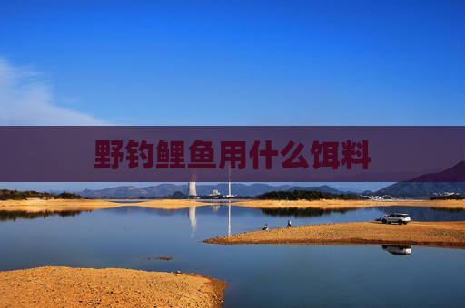 野钓鲤鱼用什么饵料