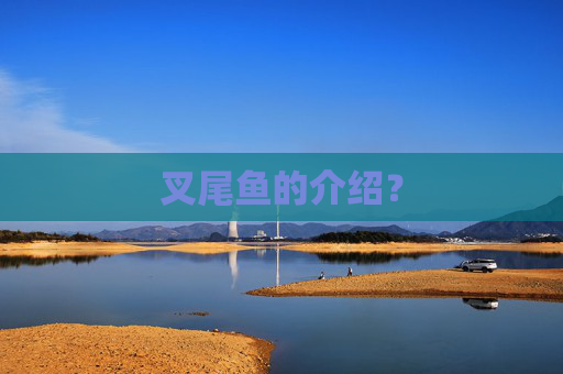 叉尾鱼的介绍？