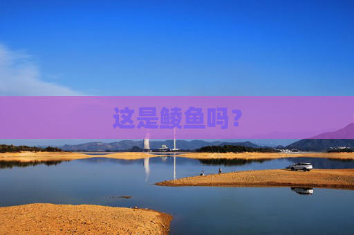这是鲮鱼吗？