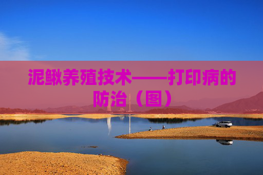 泥鳅养殖技术——打印病的防治（图）