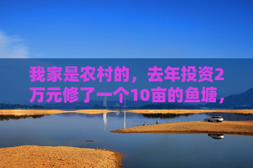 我家是农村的，去年投资2万元修了一个10亩的鱼塘，里面有草鱼，青鱼，鲢鱼，鳙鱼，良种鲫鱼，黄骨鱼