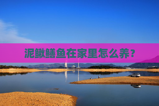 泥鳅鳝鱼在家里怎么养？