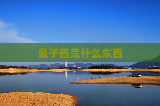 鱼子酱是什么东西