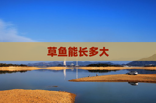 草鱼能长多大