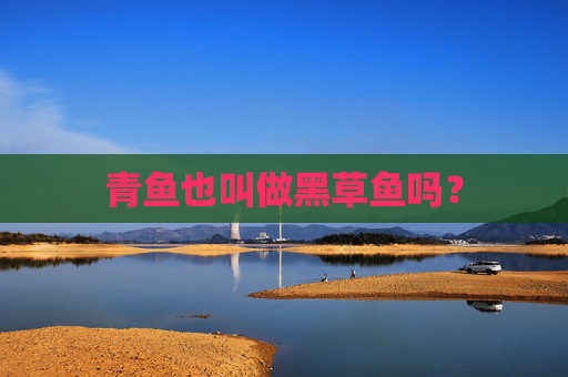 青鱼也叫做黑草鱼吗？