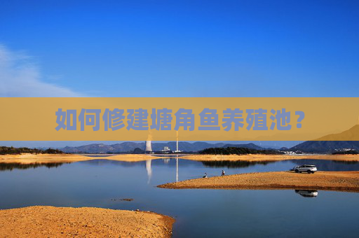 如何修建塘角鱼养殖池？