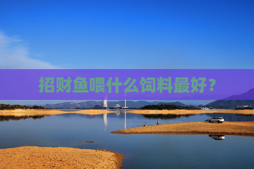 招财鱼喂什么饲料最好？