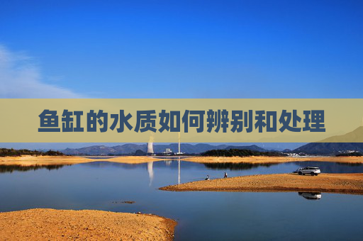 鱼缸的水质如何辨别和处理