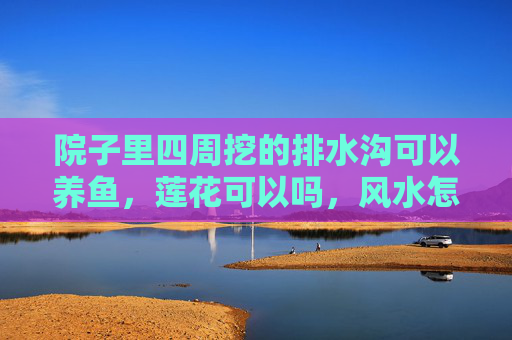 院子里四周挖的排水沟可以养鱼，莲花可以吗，风水怎么说