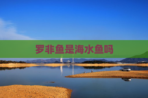 罗非鱼是海水鱼吗
