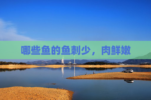 哪些鱼的鱼刺少，肉鲜嫩