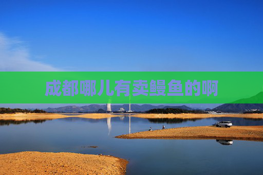 成都哪儿有卖鳗鱼的啊