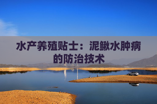 水产养殖贴士：泥鳅水肿病的防治技术