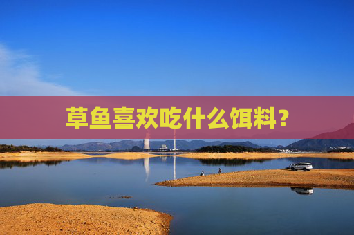 草鱼喜欢吃什么饵料？