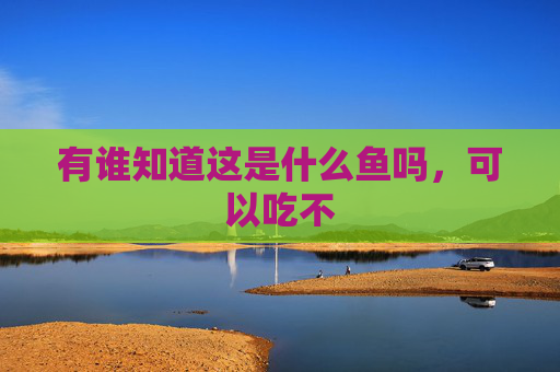 有谁知道这是什么鱼吗，可以吃不