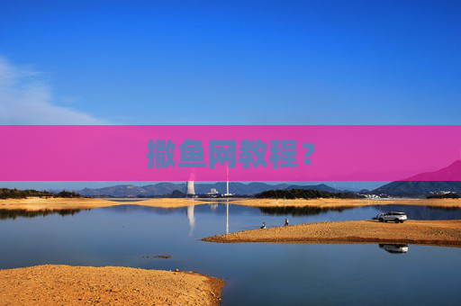 撒鱼网教程？