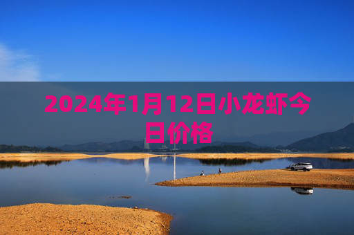 2024年1月12日小龙虾今日价格