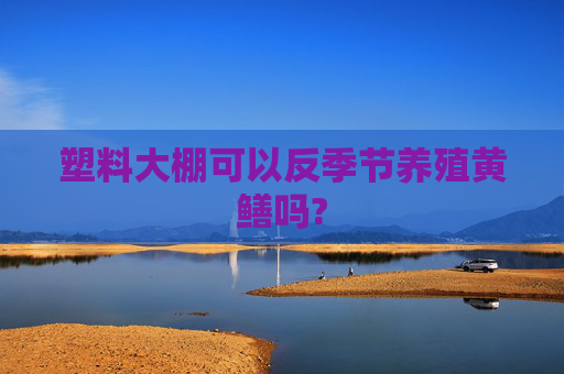 塑料大棚可以反季节养殖黄鳝吗?