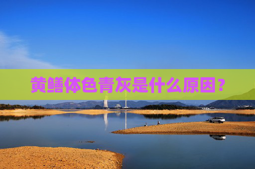 黄鳝体色青灰是什么原因？