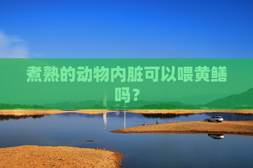 煮熟的动物内脏可以喂黄鳝吗？
