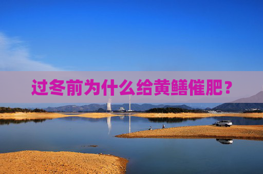 过冬前为什么给黄鳝催肥？