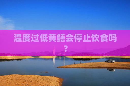 温度过低黄鳝会停止饮食吗？