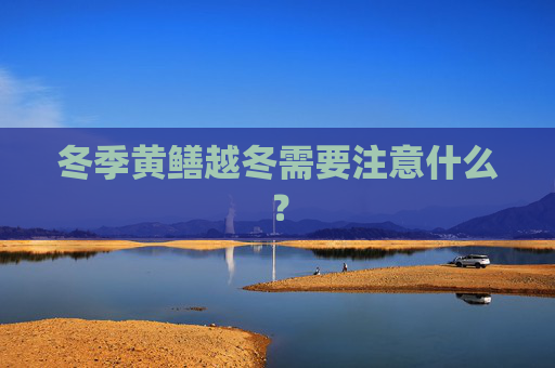 冬季黄鳝越冬需要注意什么？