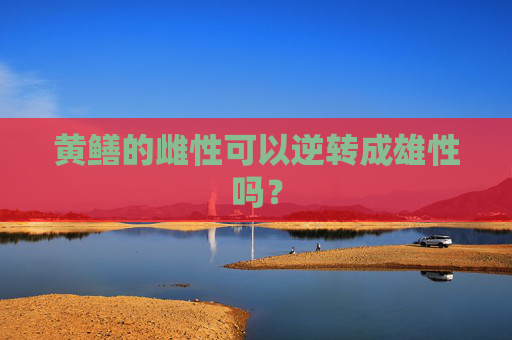 黄鳝的雌性可以逆转成雄性吗？