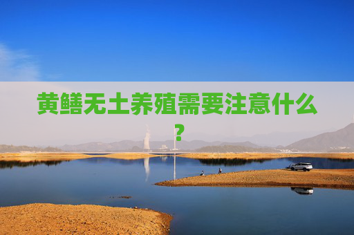黄鳝无土养殖需要注意什么？