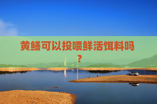 黄鳝可以投喂鲜活饵料吗 ？